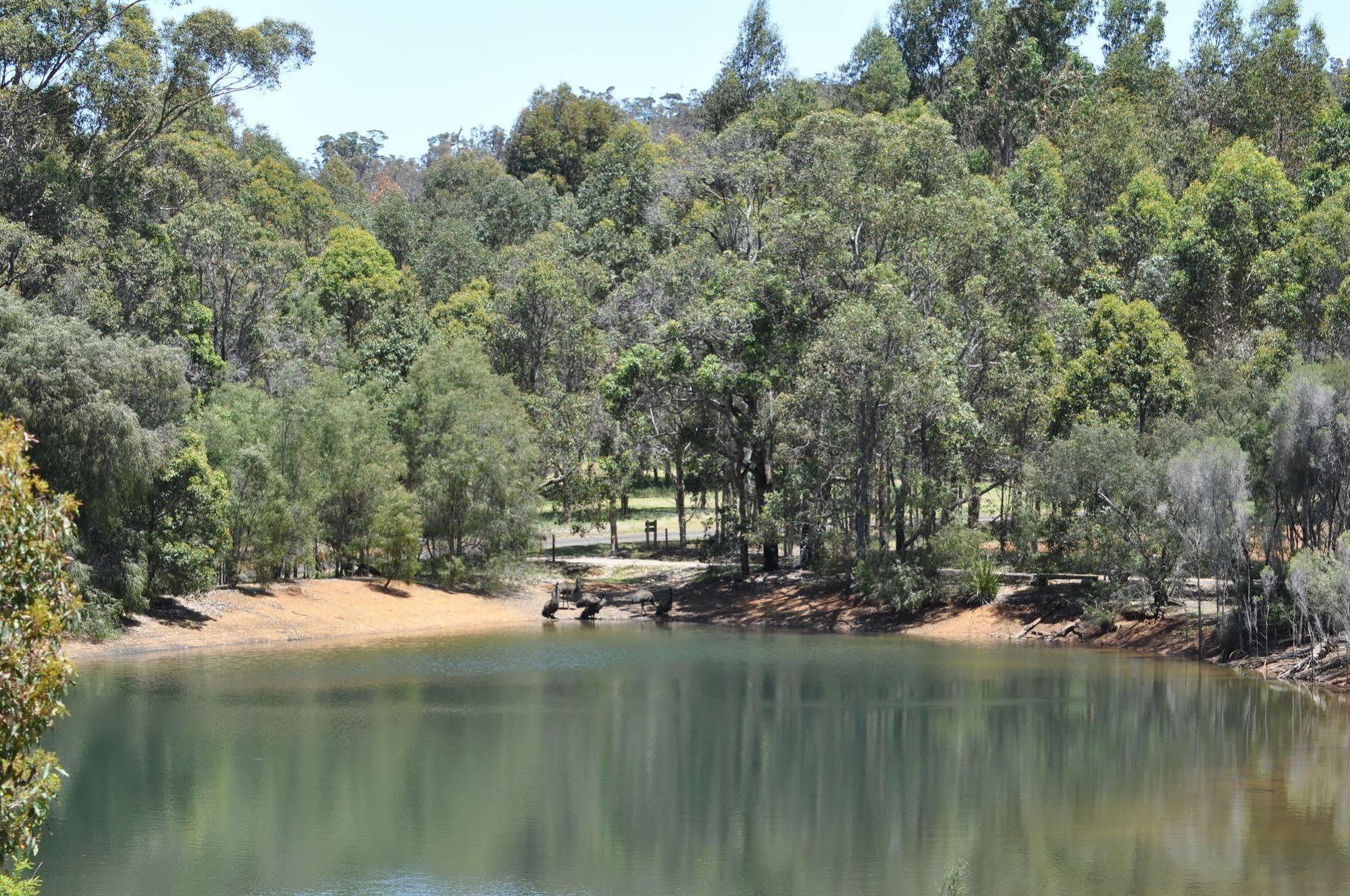 Karri Valley Chalets Pemberton Esterno foto